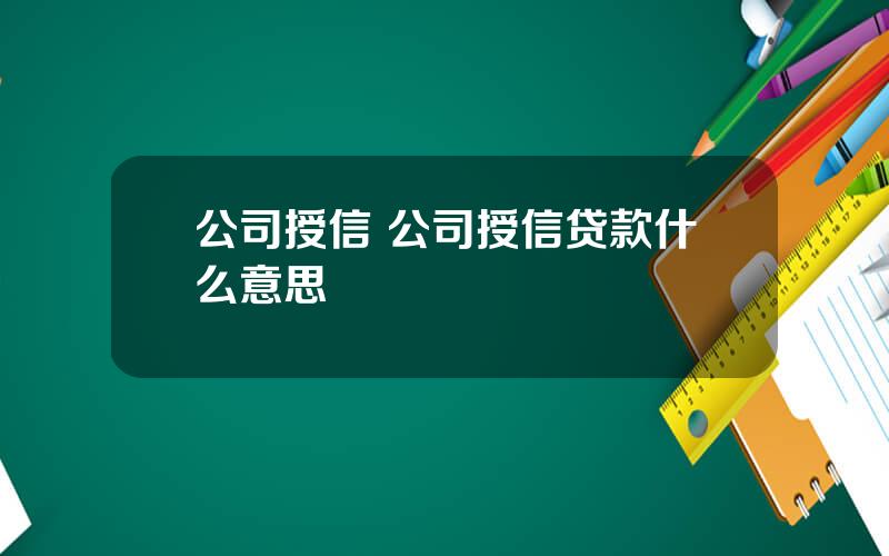 公司授信 公司授信贷款什么意思